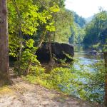Wilson Creek in North Carolina seen from a forest trail lined with trees.