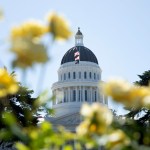 The California State Capitol in Sacramento is seen through blurred yellow flowers and greenery on a sunny day.