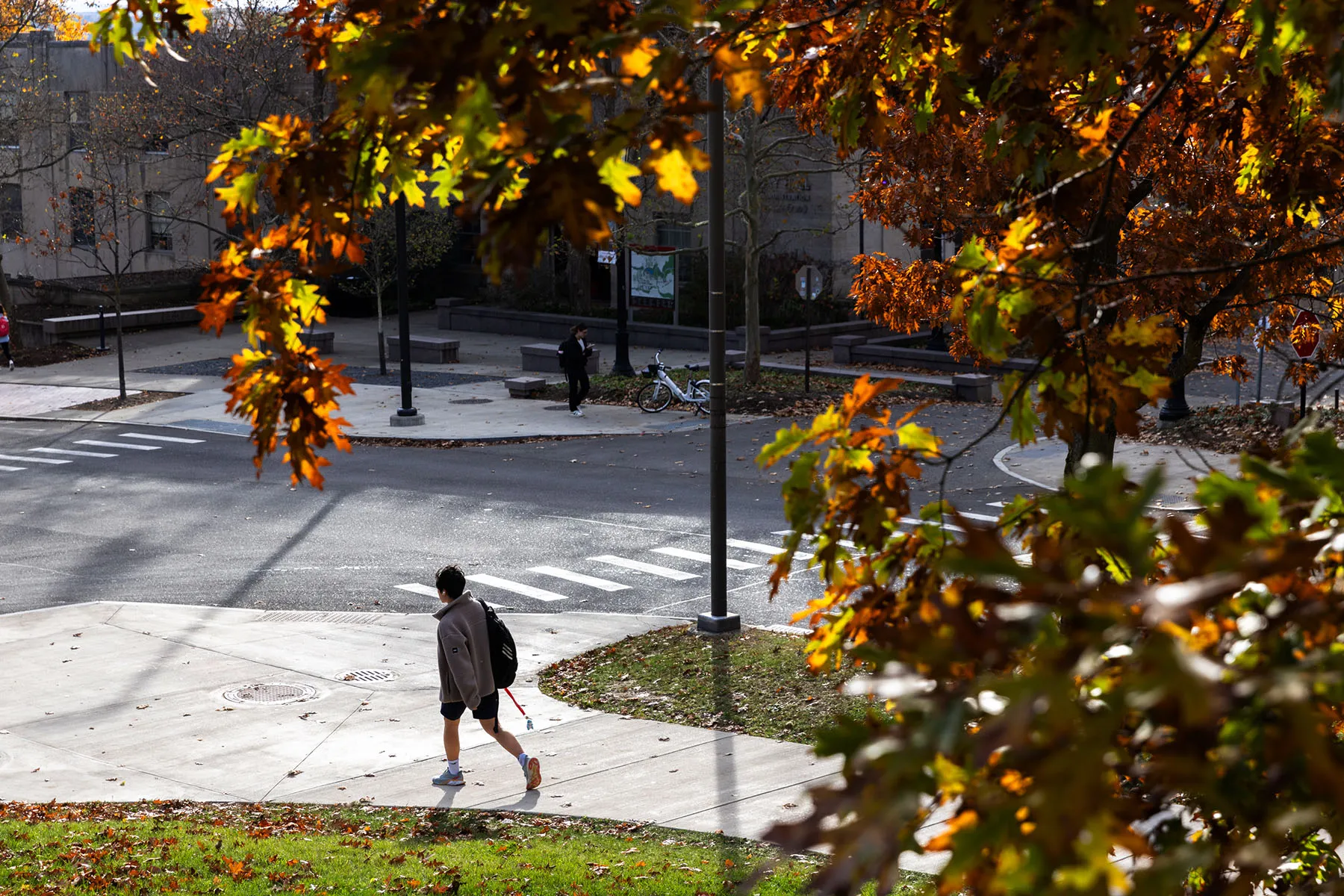 The 'Cornell Seven' rape allegations and lawsuit: Here's what we know